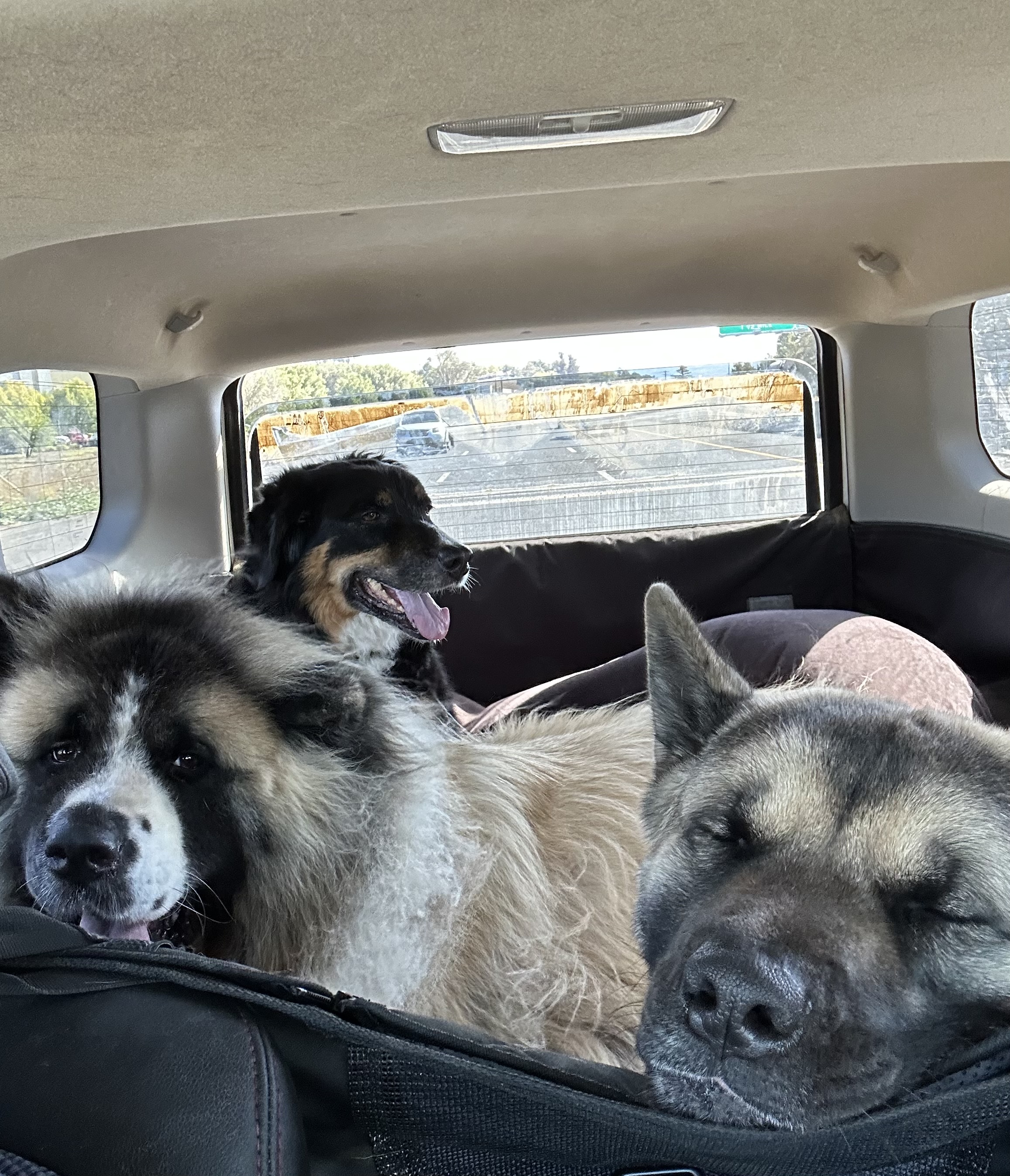 You say seasonal, I say outlook!