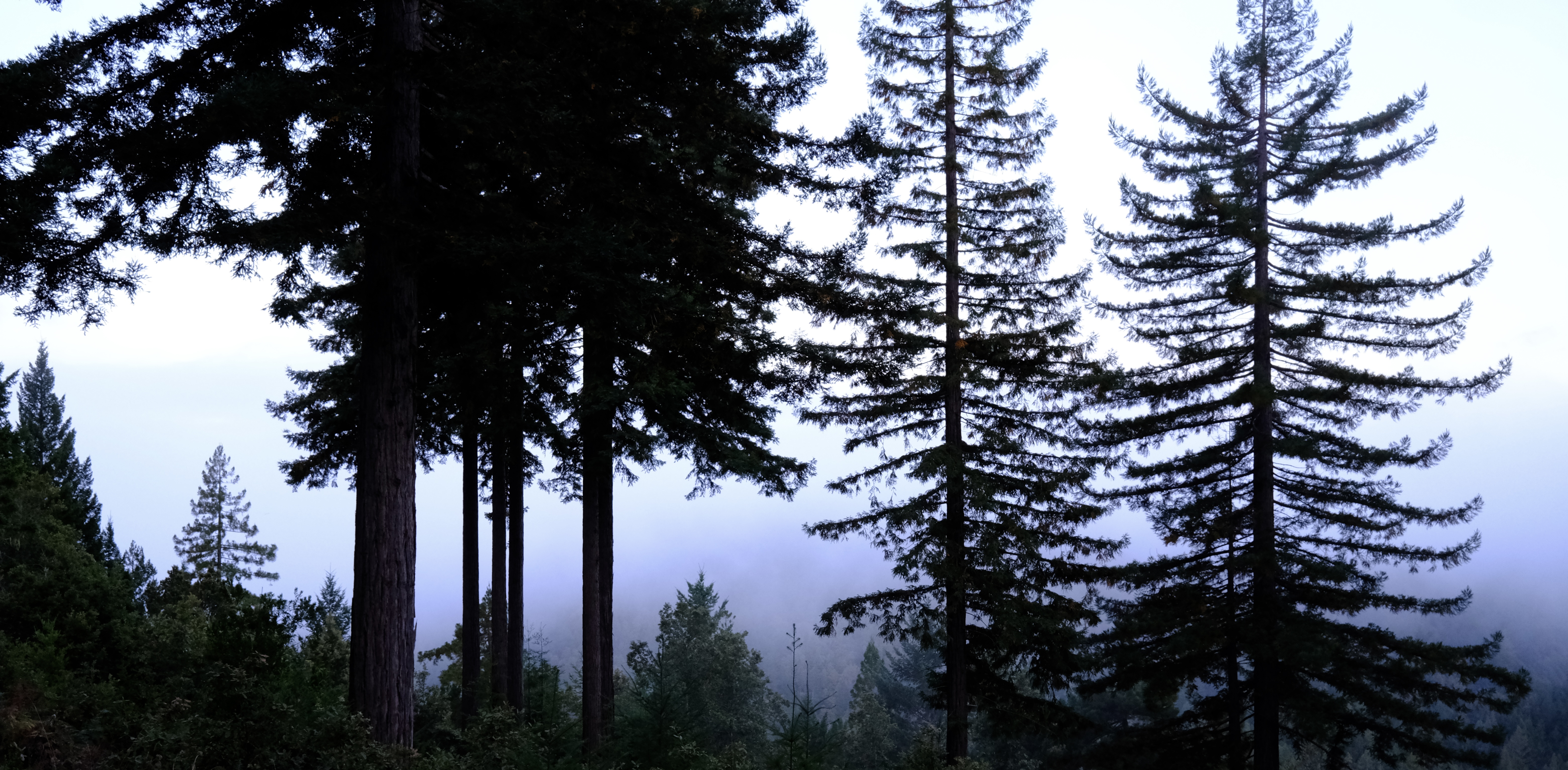 We made it, it’s the weekend