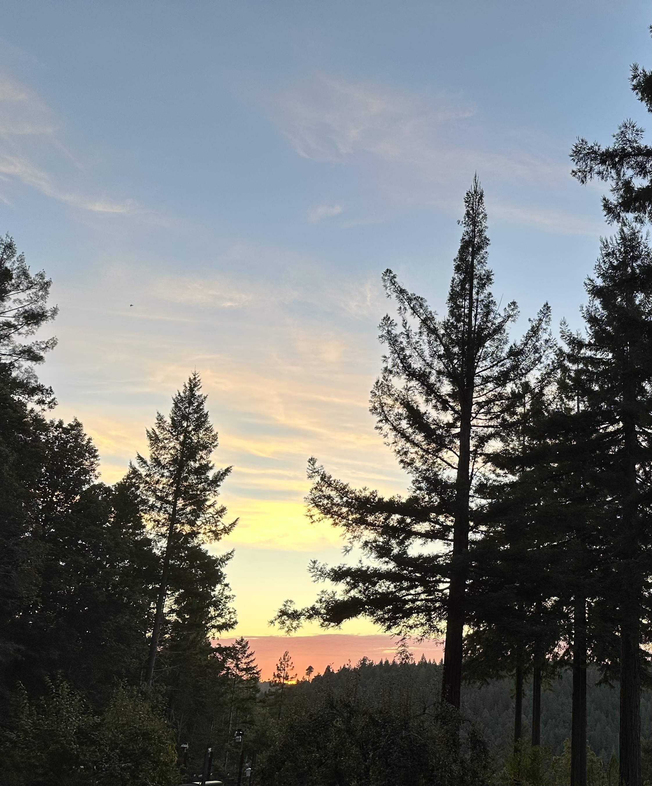 Let's rake some leaves