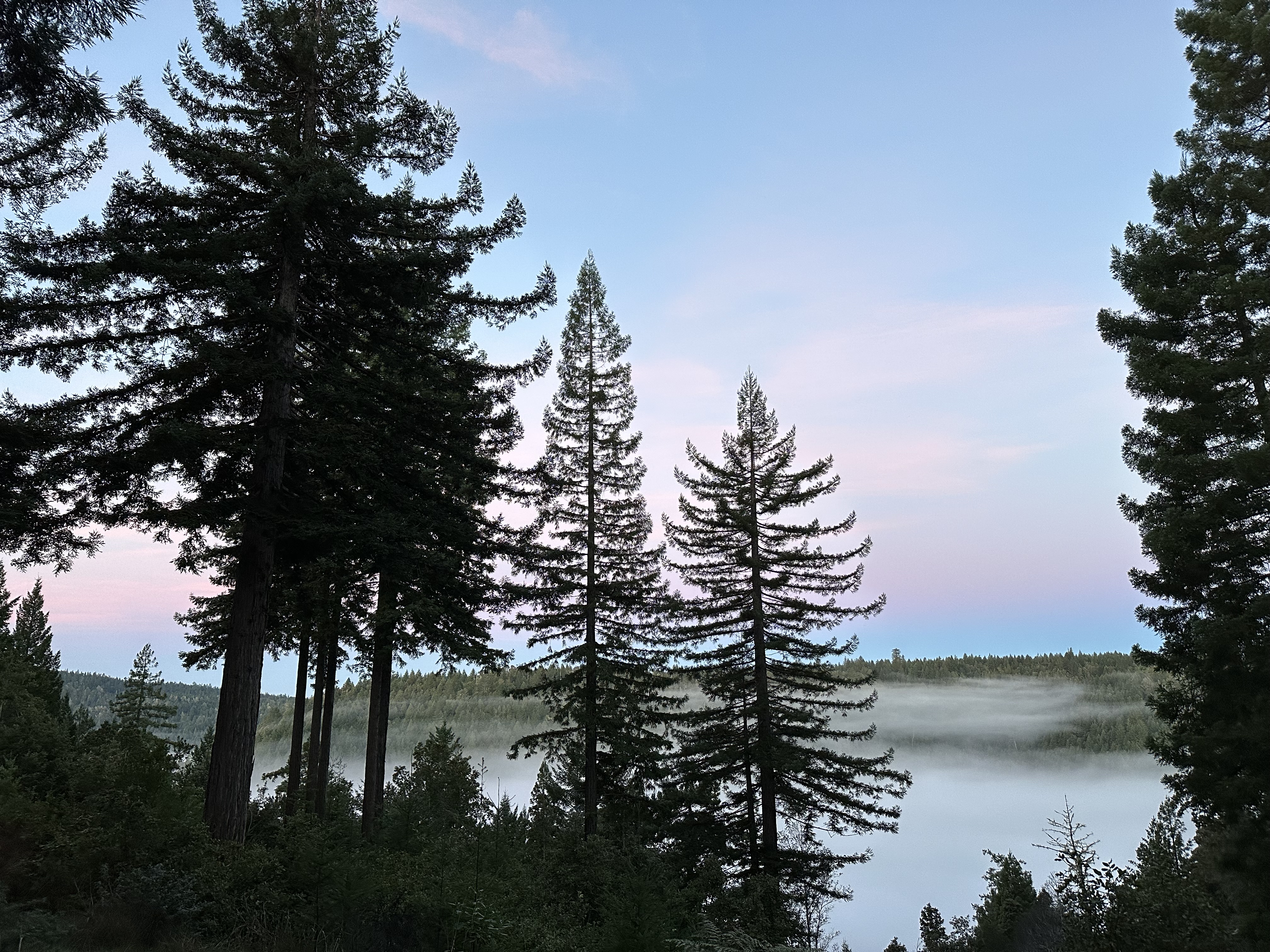 Your mission, should you choose to accept it