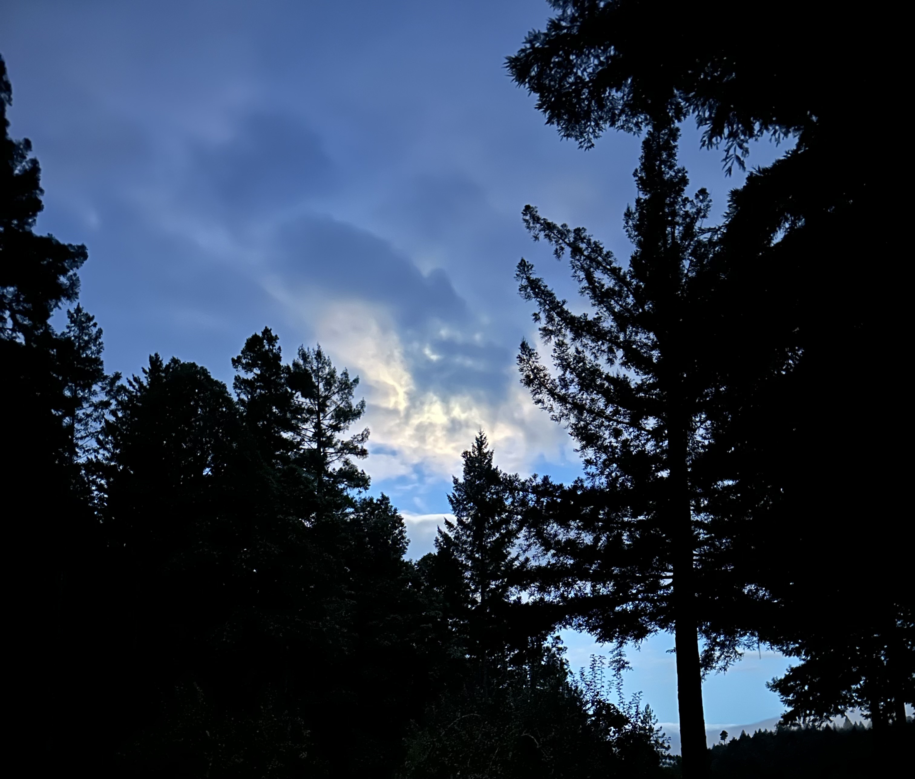 We made it, it’s the weekend