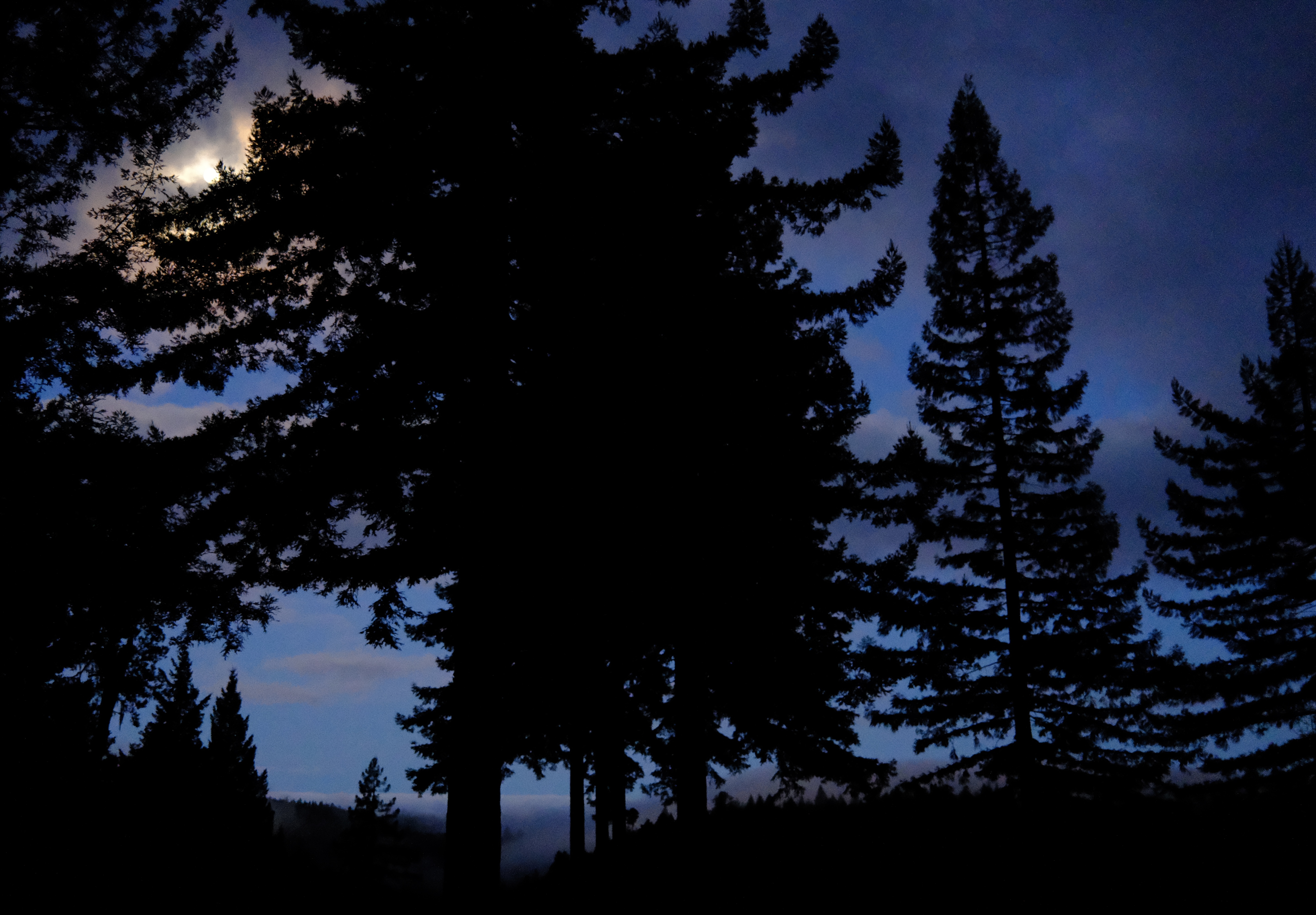 We made it, it’s the weekend