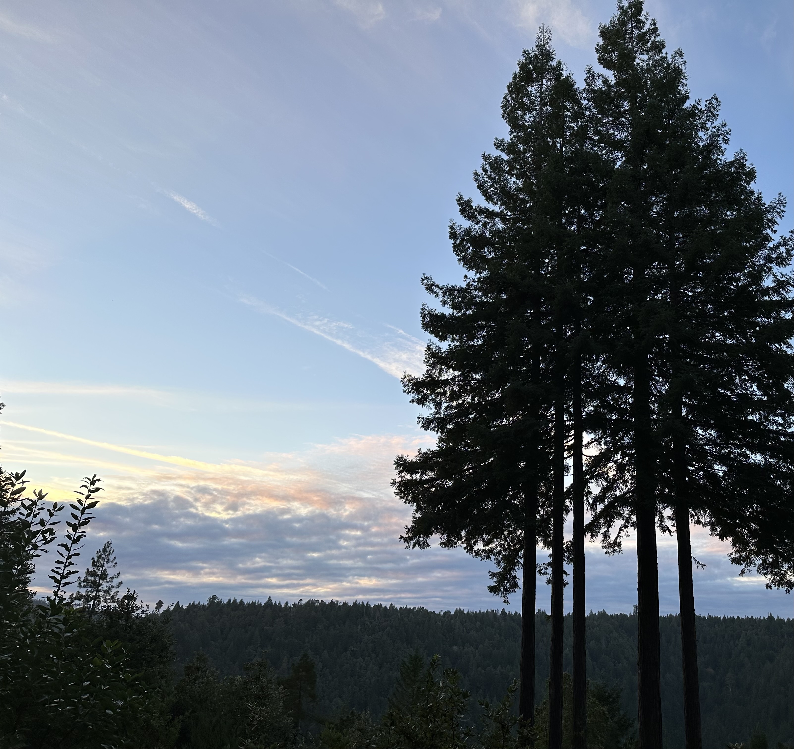 Your mission, should you choose to accept it