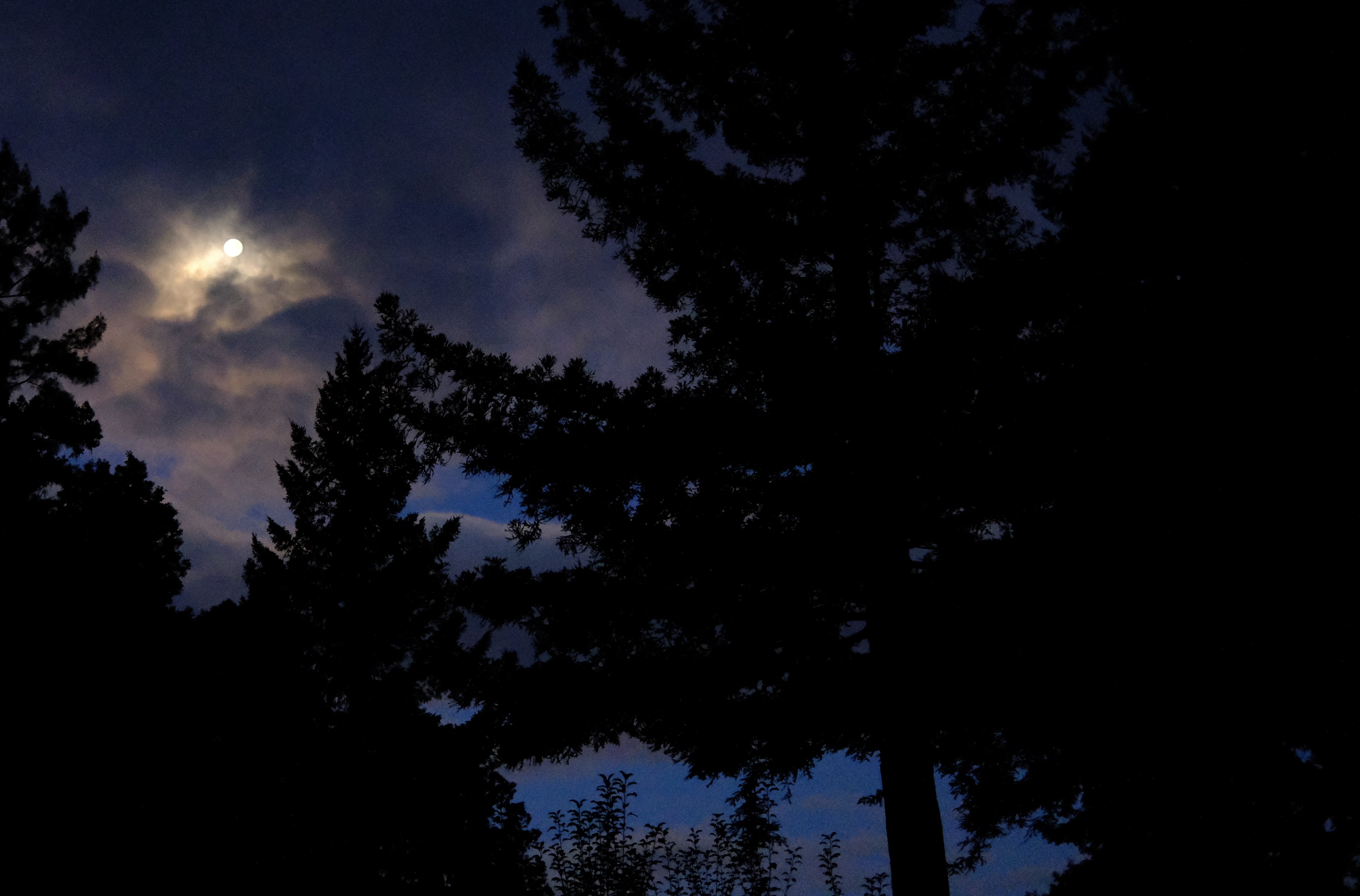 We made it, it’s the weekend