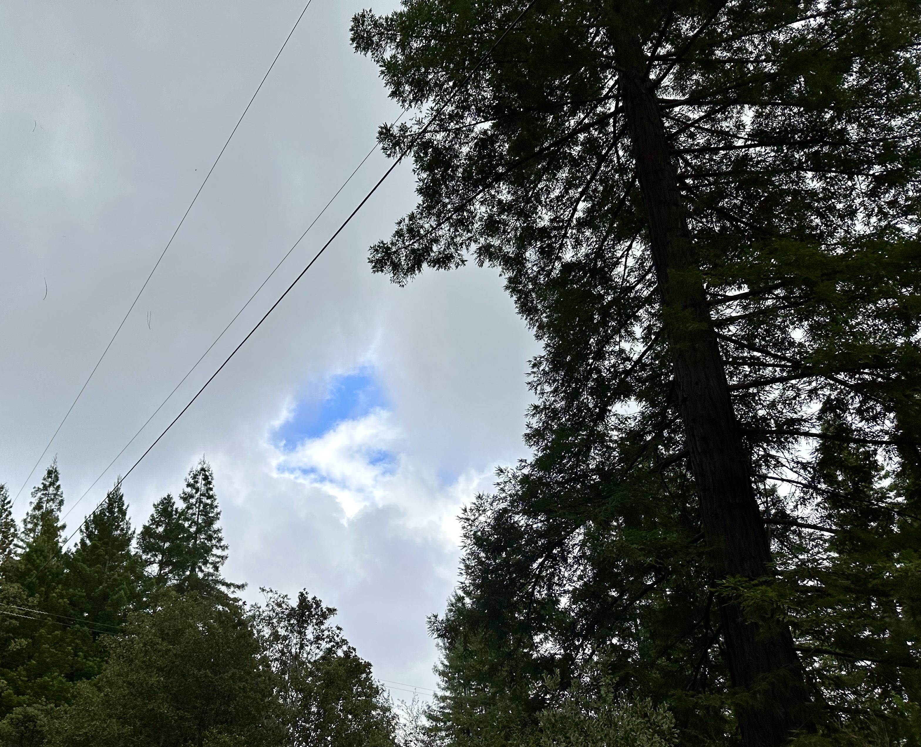 I ain't afraid of no ghosts