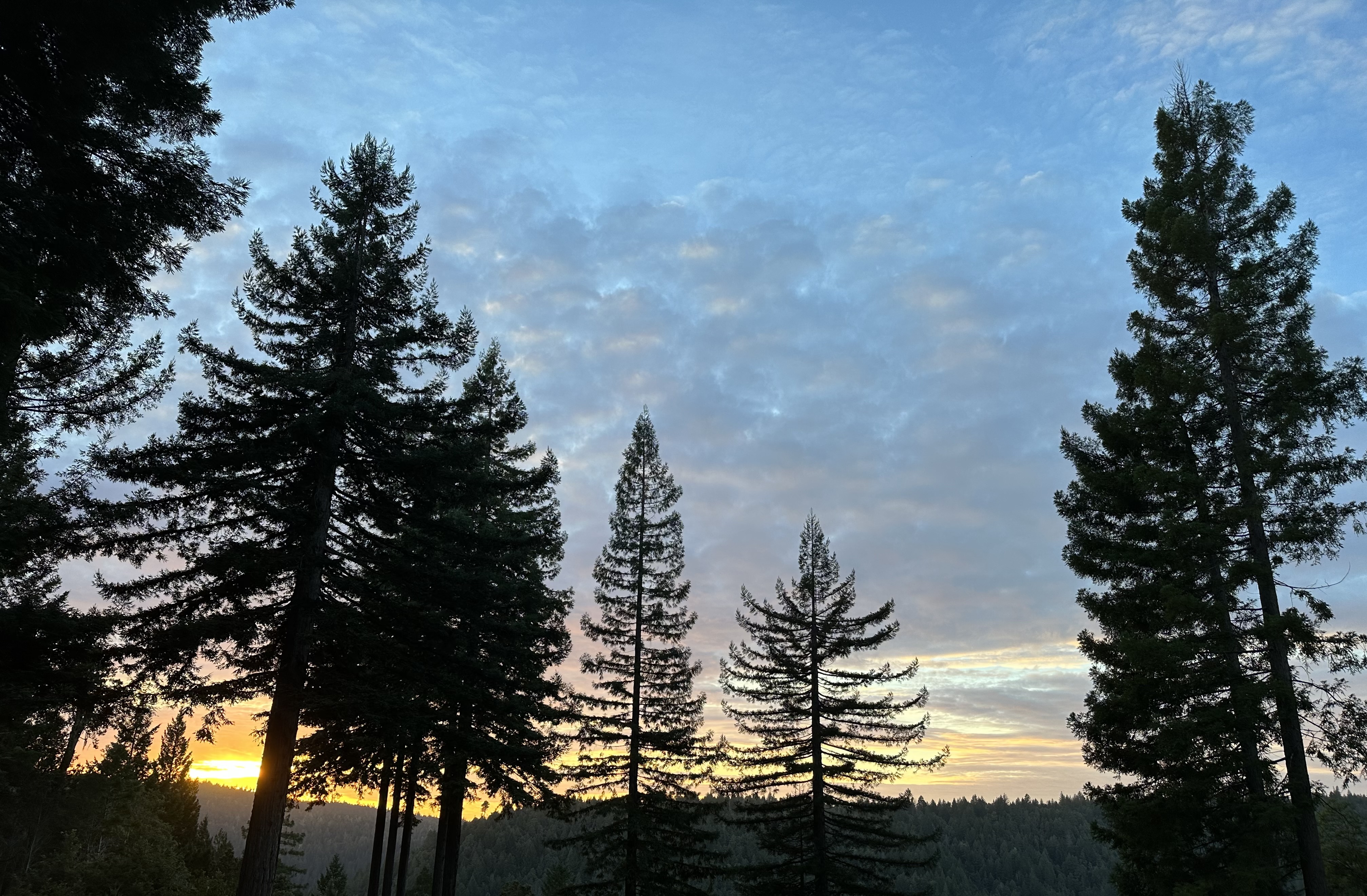 Your mission, should you choose to accept it