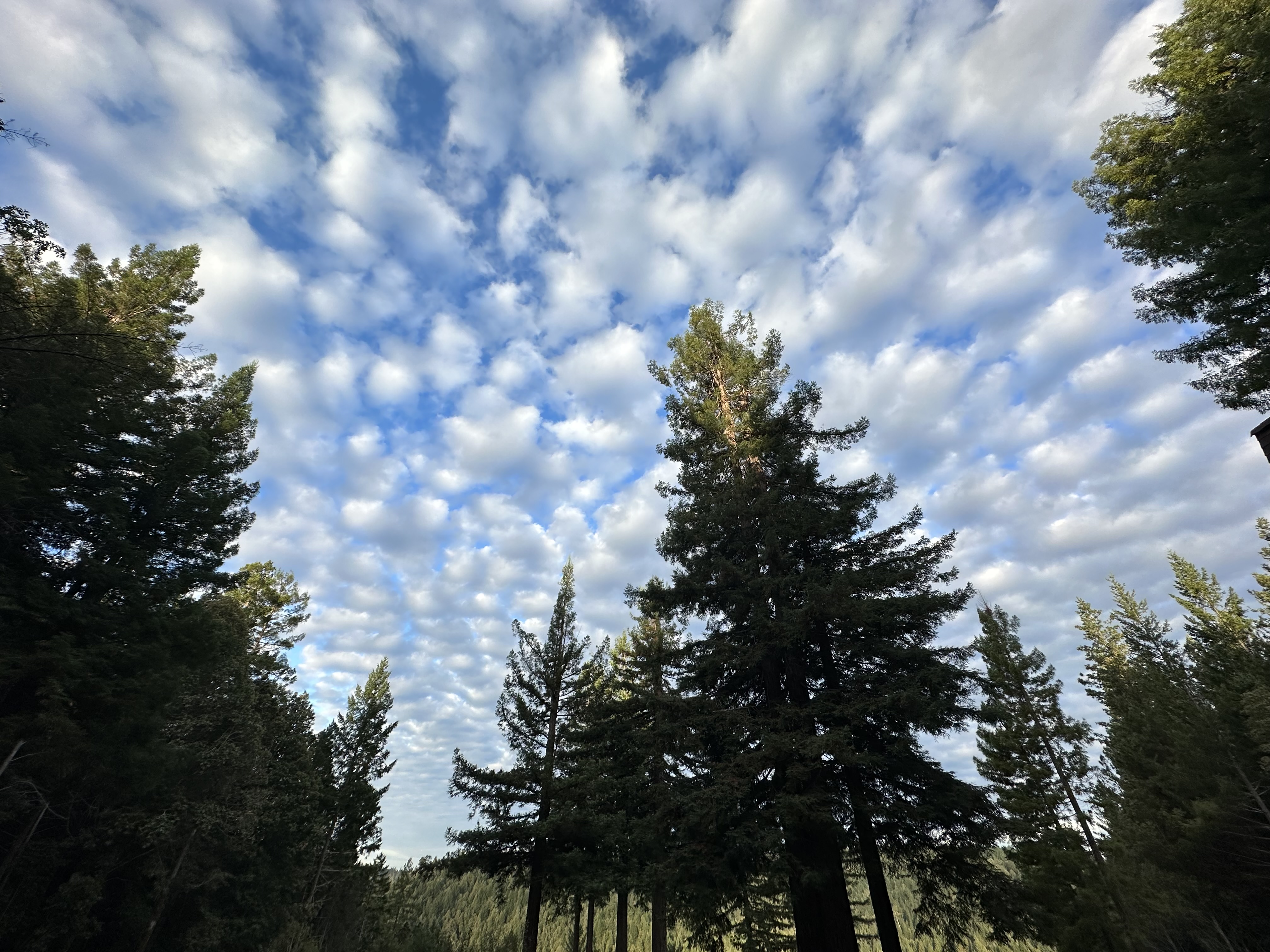 You say seasonal, I say outlook!