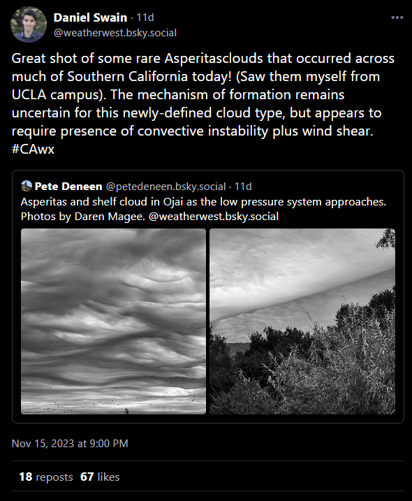 I couldn't eat another bite