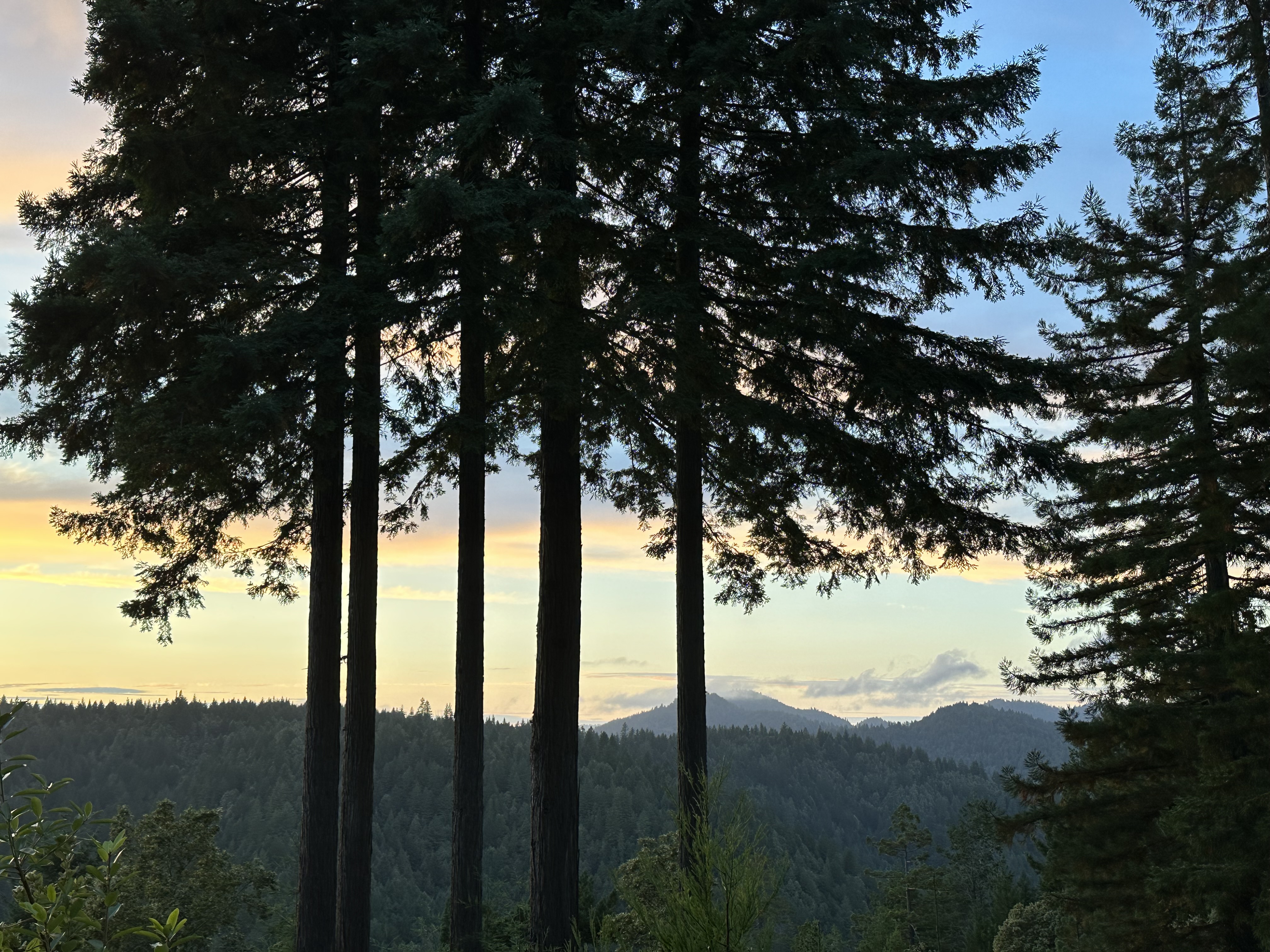 Down at the Lah De Dah