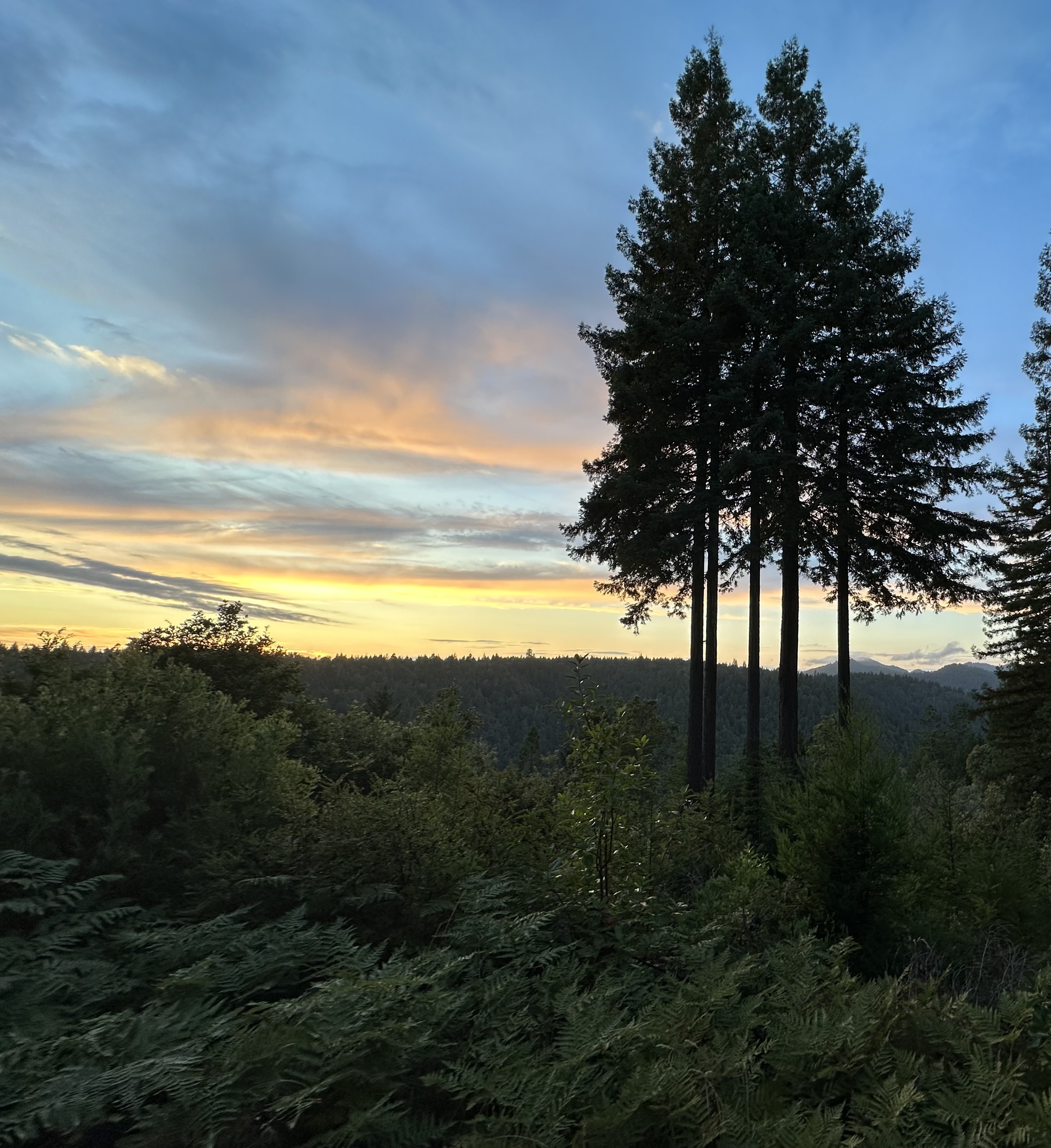 Down at the Lah De Dah