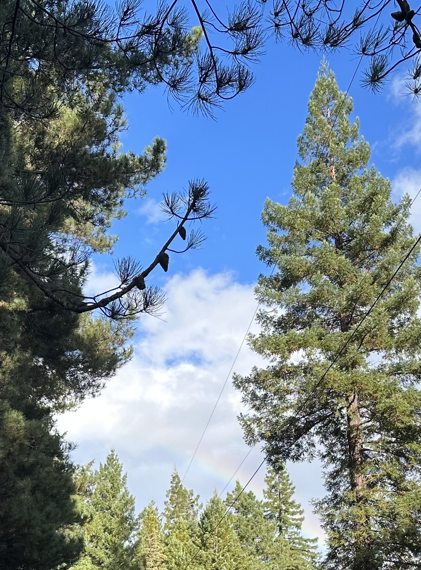 I couldn't eat another bite