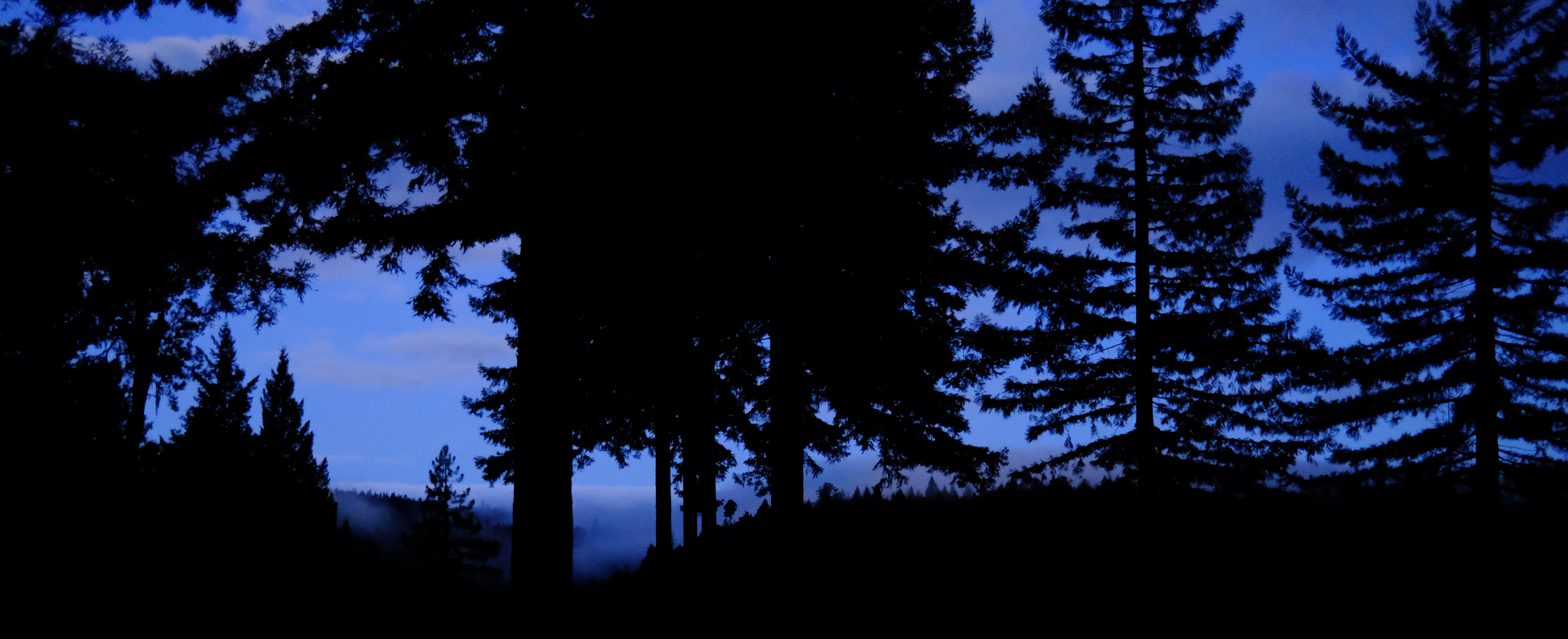 We made it, it’s the weekend