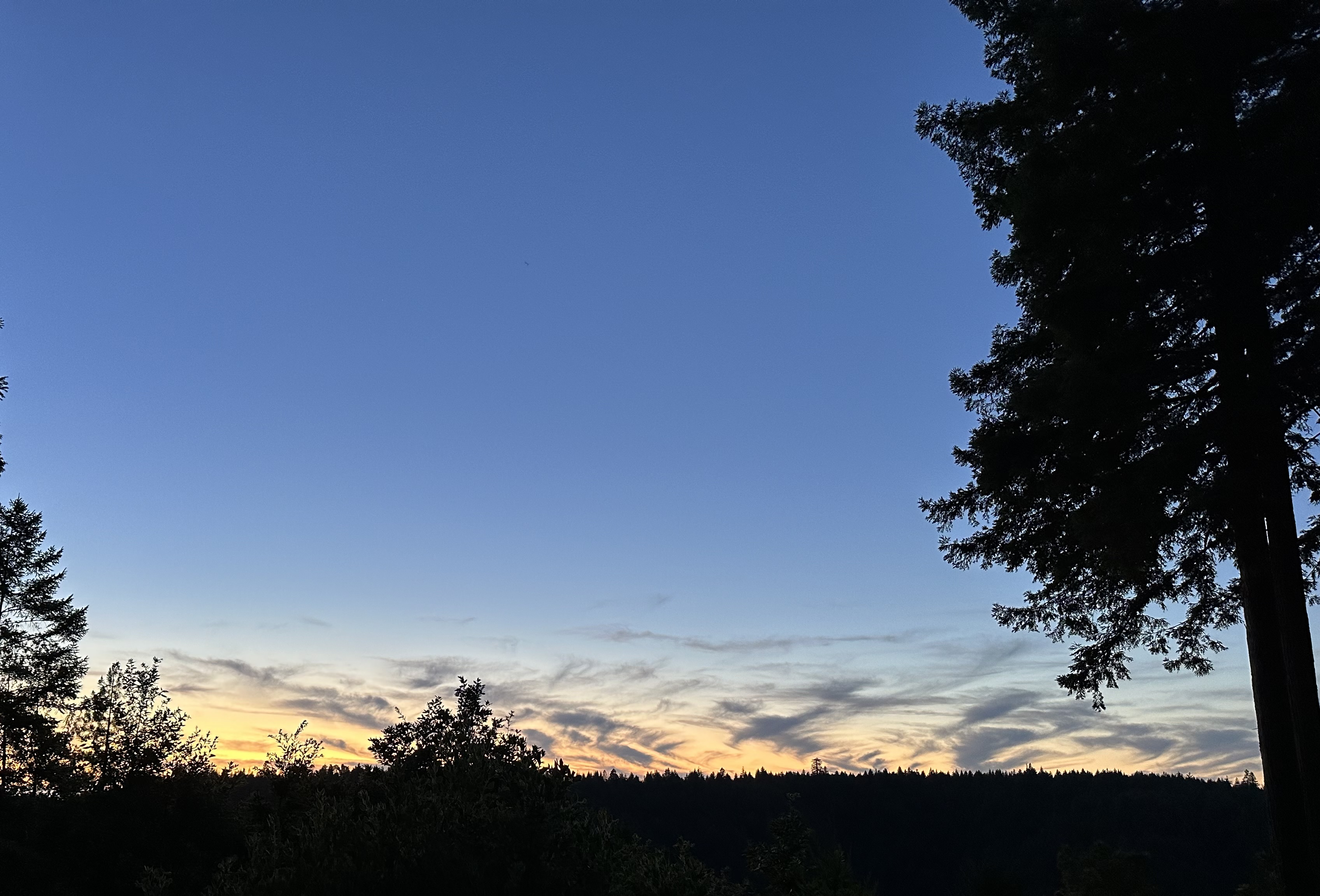 Call me on my supercell