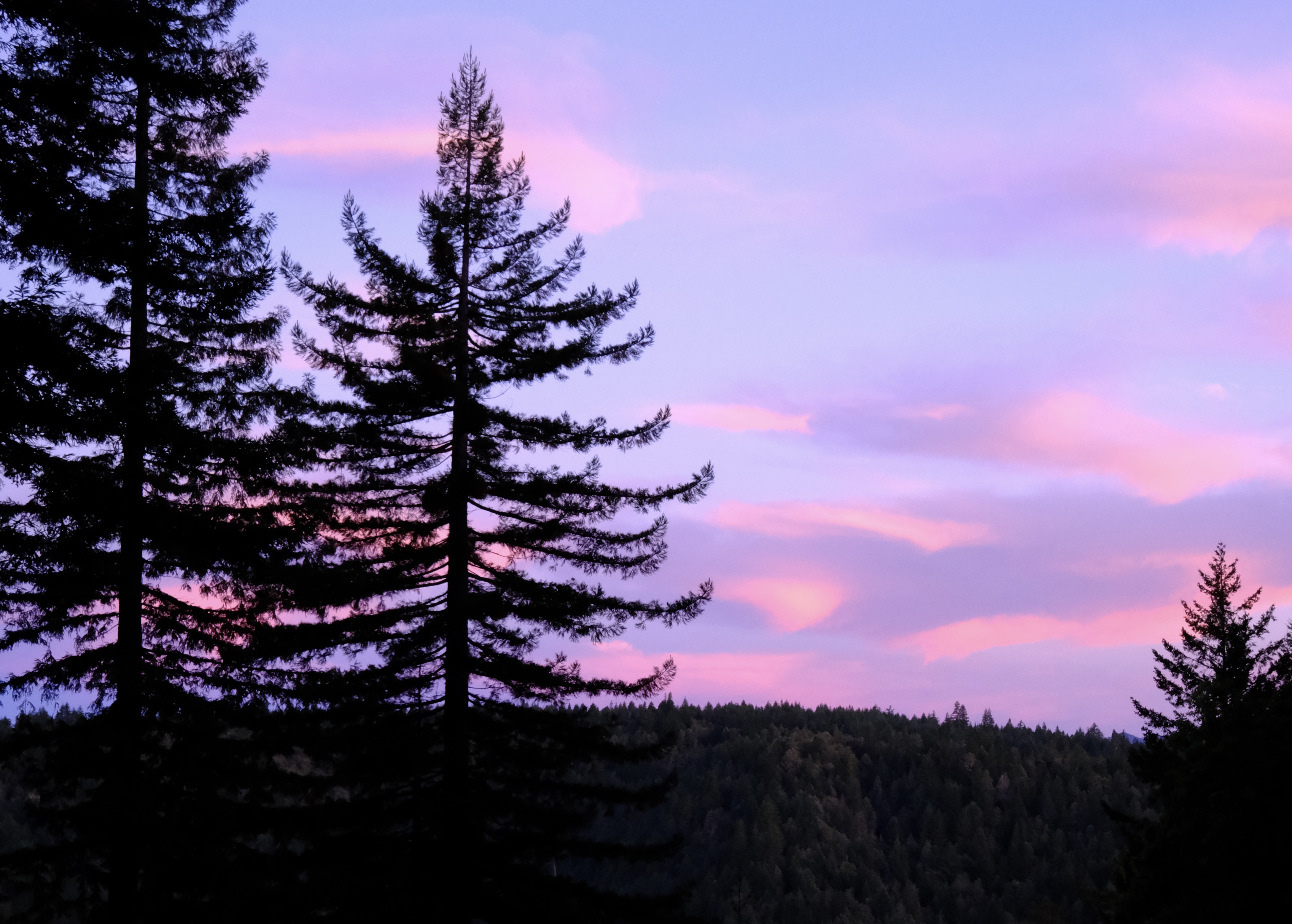 Feeling cute, posting about the weather