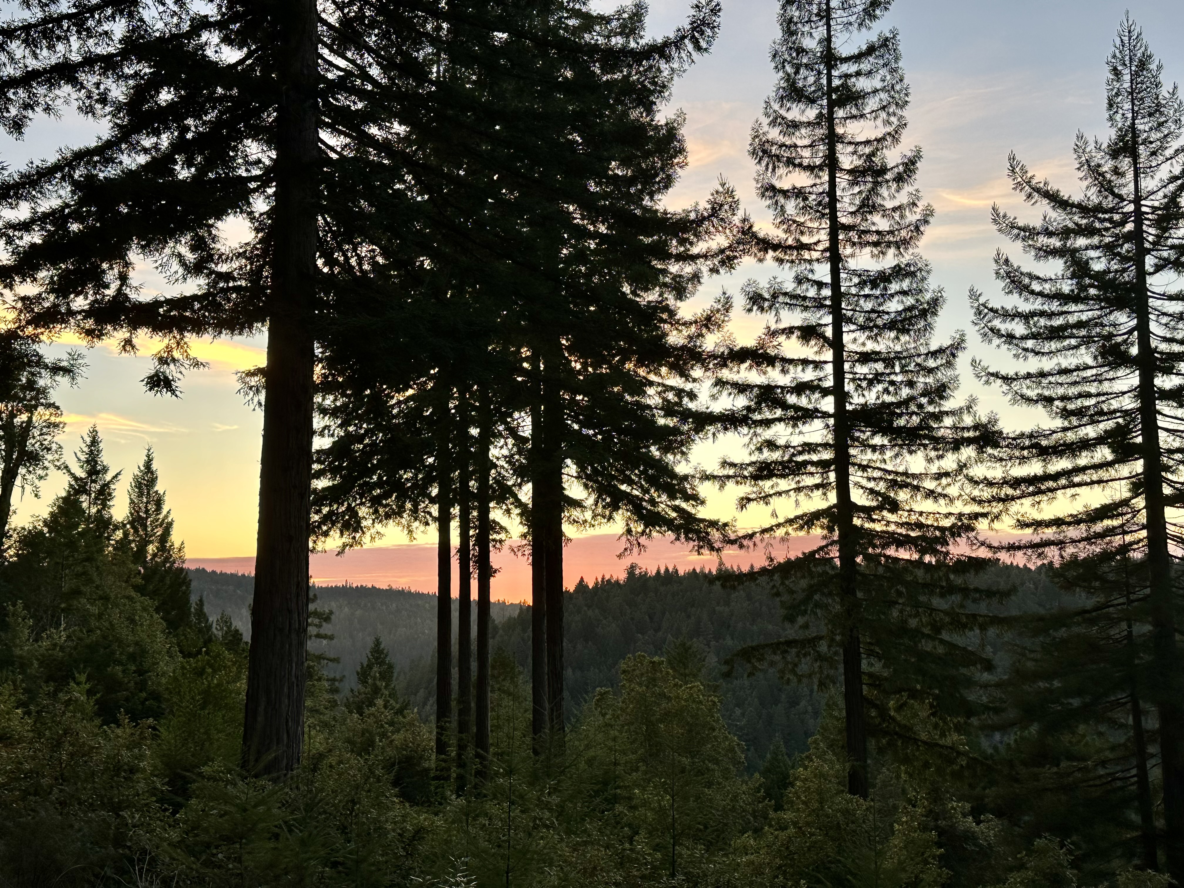 Let's rake some leaves