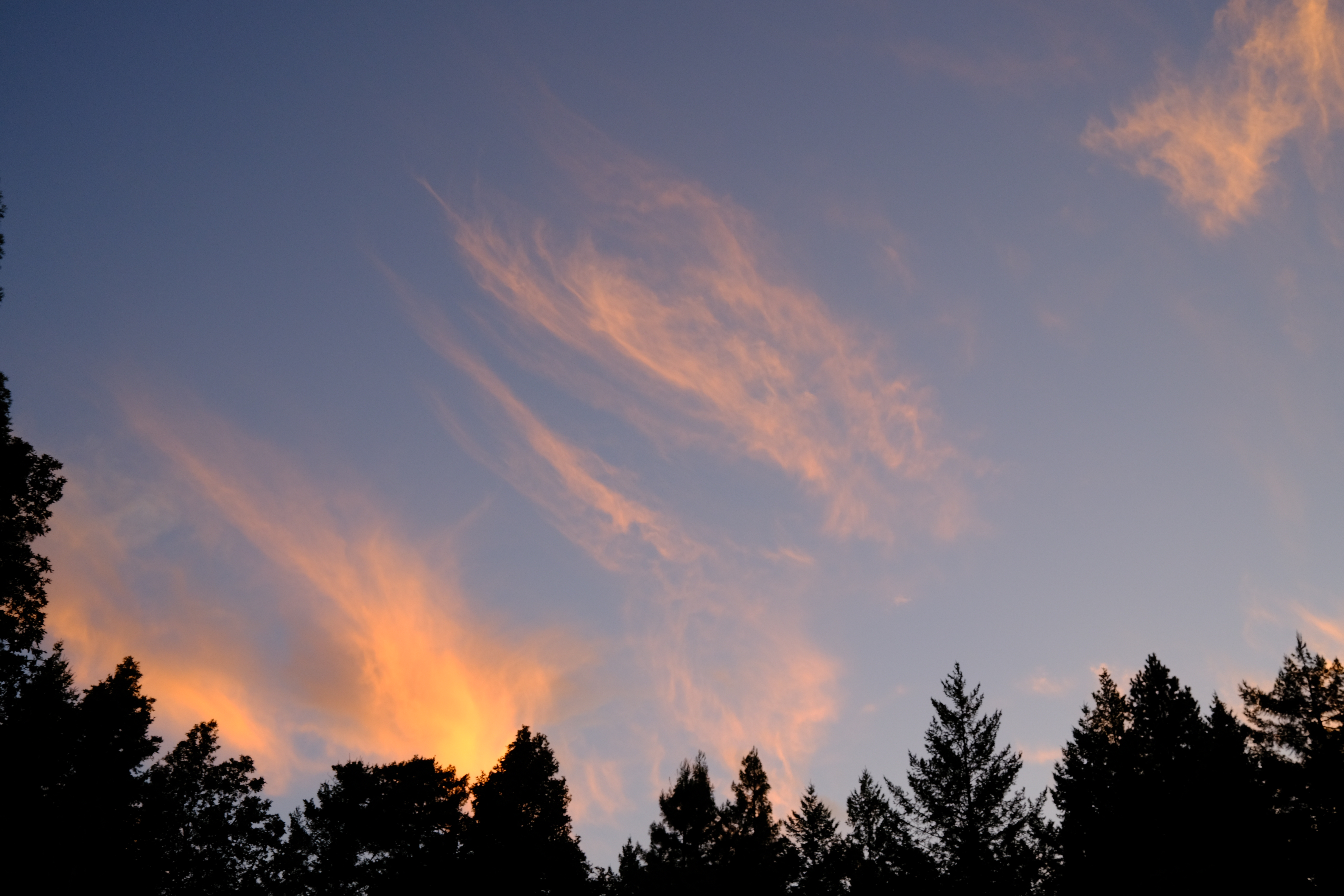 Feeling cute, posting about the weather