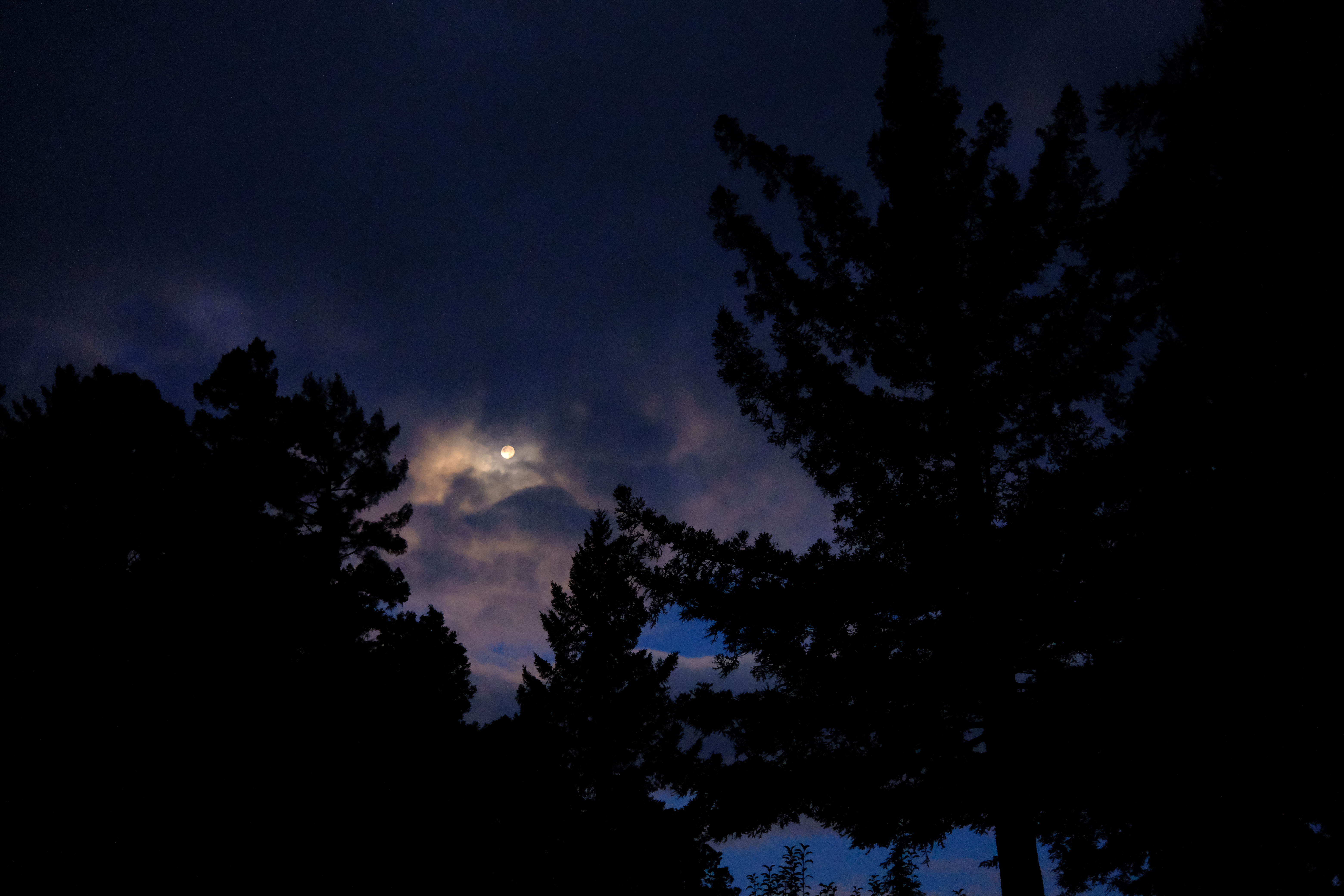 We made it, it’s the weekend