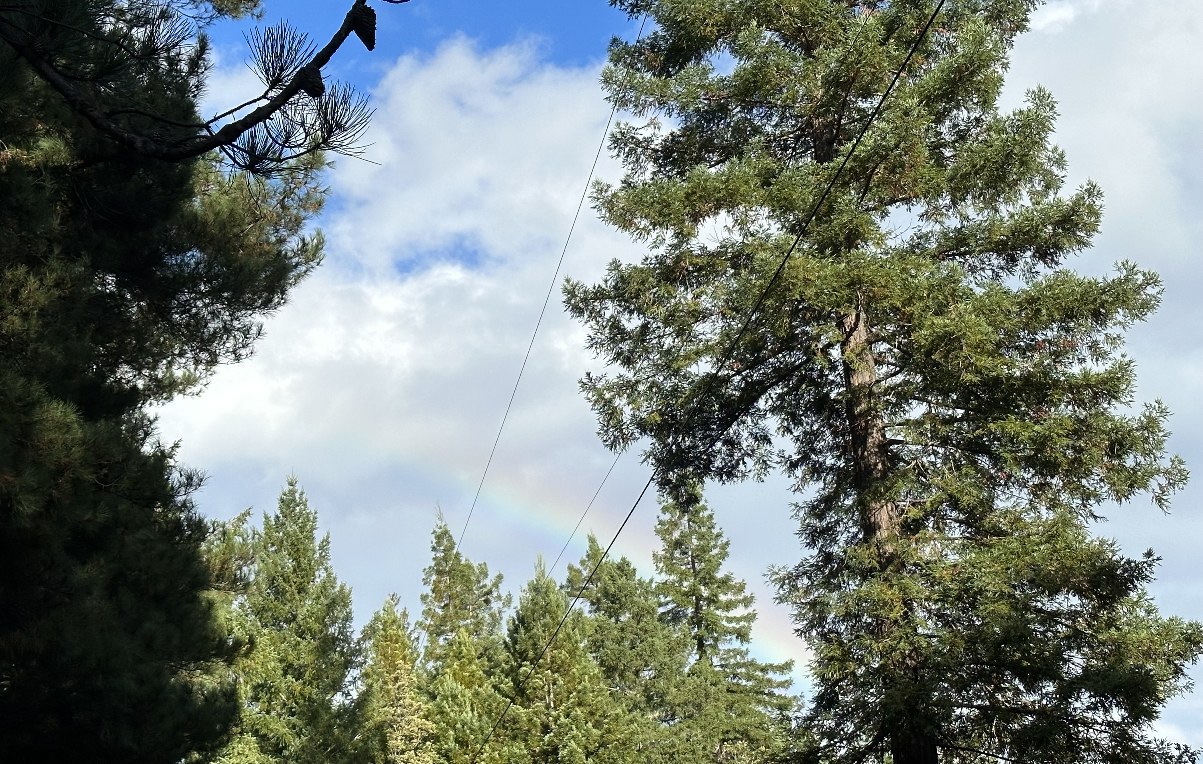 I couldn't eat another bite