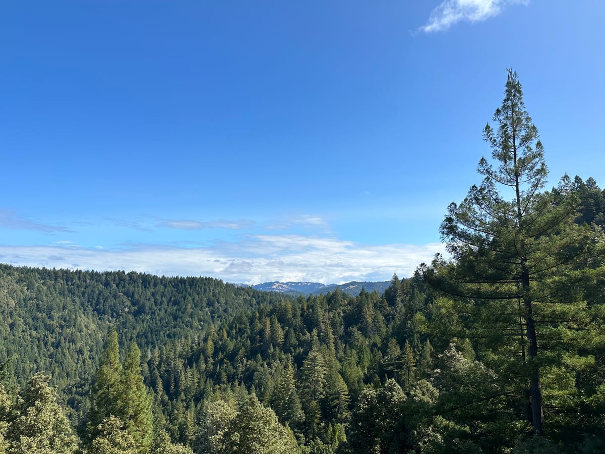 Cloudy with a chance of awesome