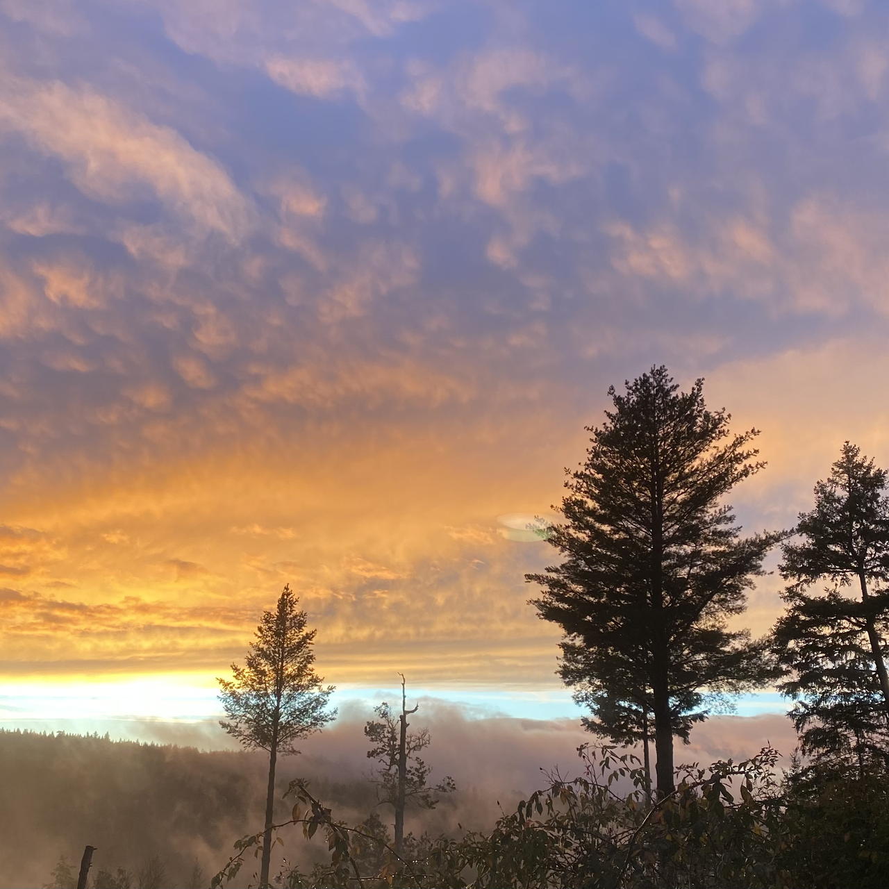 Feeling cute, posting about the weather