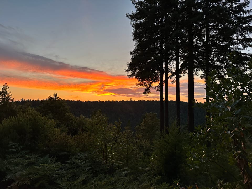 It’s good to be back