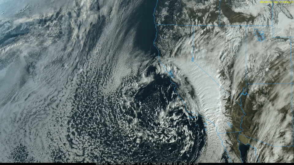 Let’s get schooled